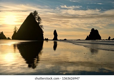 Sea Stacks And Reflections On Sandy Beach. Shoreline Of  Pacific Ocean. Olympic Peninsula. Shi Shi Beach. WA. USA.