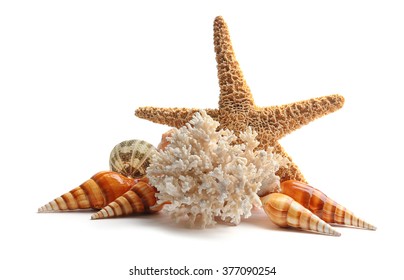 Sea Star And Coral Isolated On White