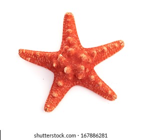 estrella marina aislada en blanco