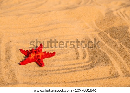 Similar – Sandstrand mit Spiezeugschaufel und Seestern