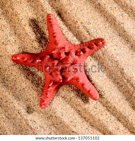 Image, Stock Photo Sandy beach with toy shovel and starfish