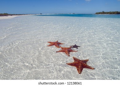 Sea Star At The White Sand Bottom Of The Fine Sea. Cuba Cayo Largo, Tropical Harbor On Island