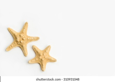 ひとで の画像 写真素材 ベクター画像 Shutterstock