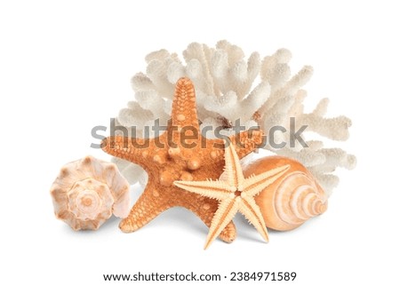 Sea stars, shells and coral isolated on white
