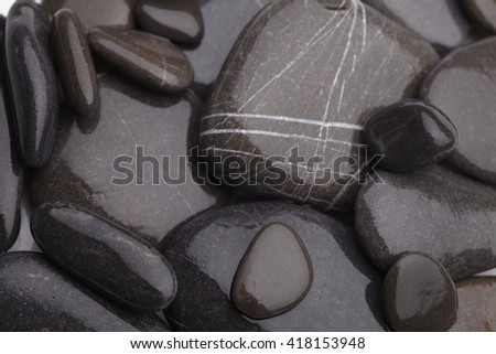 sea stones