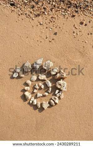sea stones and corals in spiral form on sand natural abstract background. Beautiful shell mandala pattern. practice for Harmony life, relaxation. Zen concept. top view. template for design