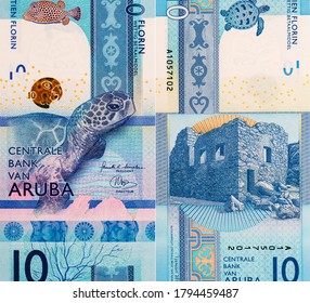 Sea Turle , Trunkfish , coral, Portrait from Aruba 10 Florin 2019 Banknotes