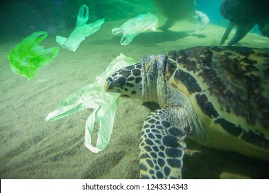 Sea Turtle Eat Plastic Bag Ocean Pollution Concept