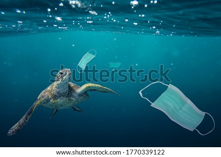 A sea turtle going to eat a surgical mask. Photo manipulation about ocean pollution and the consequences of overuse of surgical masks during coronavirus pandemic.