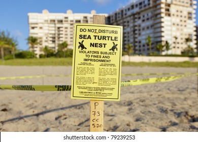 Sea turtle nest at the beach of Lauderdale by the Sea, Florida, USA
