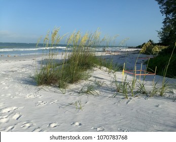 Sea turtle nest on white sand beach, Siesta Key Florida. Stakes mark nest and provide identifying information, protected and monitored by Mote Marine of Sarasota Florida. 
