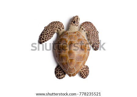 sea turtle replica