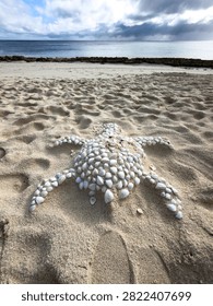 Sea turtle shape created from seashells on a sandy beach with the turquoise ocean at Heron Island, Queensland, Australia.