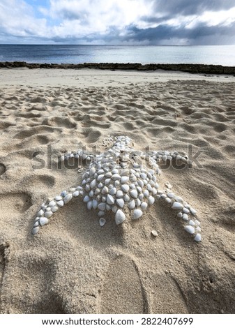 Sea turtle shape created from seashells on a sandy beach with the turquoise ocean at Heron Island, Queensland, Australia.
