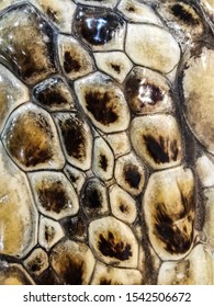 Sea Turtle Skin,scale, Texture. Abstract Background