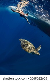 Sea Turtle And Snorkeling On The Surface Sea Water