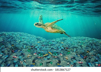Sea turtle swimming in ocean invaded by plastic bottles. Pollution in oceans concept. - Shutterstock ID 1813867127