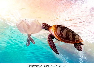 Sea turtles eating plastic bags mistaking them for jellyfish.Plastic pollution in ocean environmental problem. 