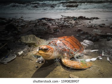 Sea Turtles And Garbage Shown In The Museum