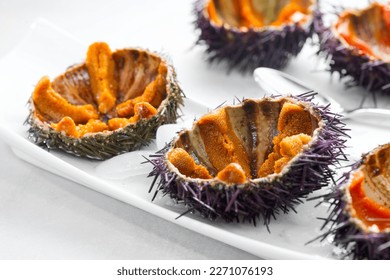 Sea Urchin with caviar close-up, on white background. Fresh open sea urchins on a plate with ice and spoon, ready to eat. Border design, delicatessen food. Traditional Mediterranean food. Roe. Seafood