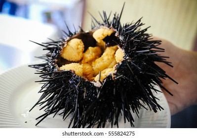 Sea Urchin At Tsukiji Fish Market