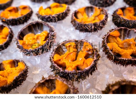 Sea urchins open and ready to eat on ice in Tsukiji fish market Tokyo Japan, close up uni seafood