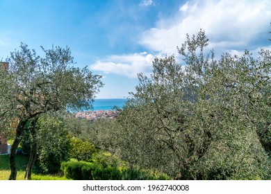 Sea View Among The Olive Trees, Chiavari, Italy