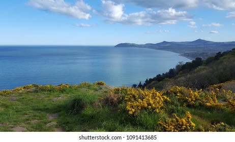 Sea View From Killiney Hill