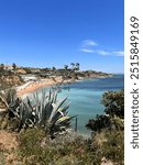 sea view palmtrees cactus ocean portugal