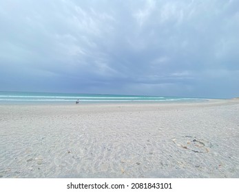 Sea View Rocks Ocean Seagull Mountain Beach Seashells True Crab Sky Cloudy Clear Blue Sand Haze Turquoise Seaweed White Blur Stones Vacation Cape Town Shore Nature Blend Animals Creatures Wild Life