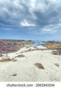 Sea View Rocks Ocean Seagull Mountain Beach Seashells True Crab Sky Cloudy Clear Blue Sand Haze Turquoise Seaweed White Blur Stones Vacation Cape Town Shore Nature Blend Animals Creatures Wild Life