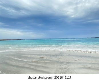 Sea View Rocks Ocean Seagull Mountain Beach Seashells True Crab Sky Cloudy Clear Blue Sand Haze Turquoise Seaweed White Blur Stones Vacation Cape Town Shore Nature Blend Animals Creatures Wild Life