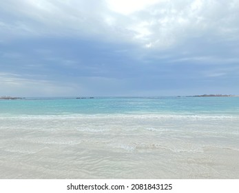 Sea View Rocks Ocean Seagull Mountain Beach Seashells True Crab Sky Cloudy Clear Blue Sand Haze Turquoise Seaweed White Blur Stones Vacation Cape Town Shore Nature Blend Animals Creatures Wild Life