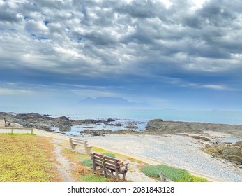 Sea View Rocks Ocean Seagull Mountain Beach Seashells True Crab Sky Cloudy Clear Blue Sand Haze Turquoise Seaweed White Blur Stones Vacation Cape Town Shore Nature Blend Animals Creatures Wild Life