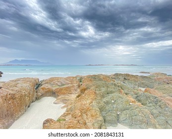 Sea View Rocks Ocean Seagull Mountain Beach Seashells True Crab Sky Cloudy Clear Blue Sand Haze Turquoise Seaweed White Blur Stones Vacation Cape Town Shore Nature Blend Animals Creatures Wild Life