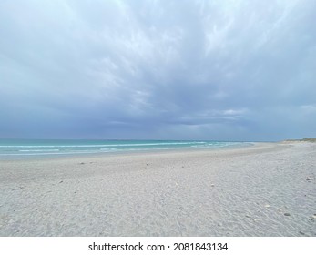 Sea View Rocks Ocean Seagull Mountain Beach Seashells True Crab Sky Cloudy Clear Blue Sand Haze Turquoise Seaweed White Blur Stones Vacation Cape Town Shore Nature Blend Animals Creatures Wild Life