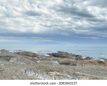 Sea View Rocks Ocean Seagull Mountain Beach Seashells True Crab Sky Cloudy Clear Blue Sand Haze Turquoise Seaweed White Blur Stones Vacation Cape Town Shore Nature Blend Animals Creatures Wild Life