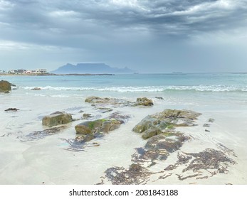 Sea View Rocks Ocean Seagull Mountain Beach Seashells True Crab Sky Cloudy Clear Blue Sand Haze Turquoise Seaweed White Blur Stones Vacation Cape Town Shore Nature Blend Animals Creatures Wild Life