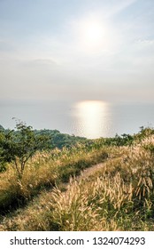 sea view and tree