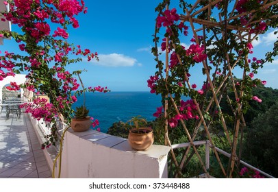 Sea view from the veranda overgrown with bougainvillea.