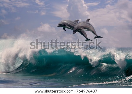Sea water background. Two dolphins jumping from sea water over ocean wave