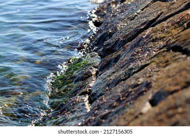 Sea Water Edge Stone Masonry Revetment Shinning Under The Sunlight.