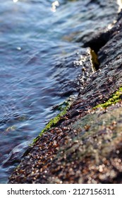  Sea Water Edge Stone Masonry Revetment Shinning Under The Sunlight.