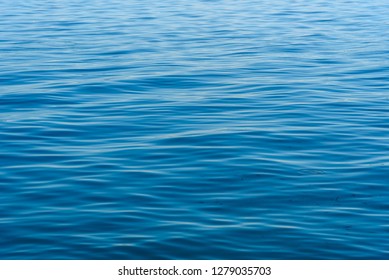 Sea water with smal fish background texture