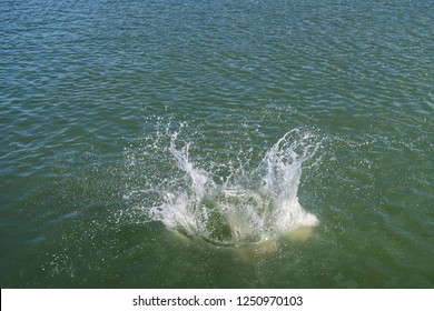 Sea water splashes after jumping to the ocean on dark green ripples background in tropical warm destination open sea with copy space for text. Transparent water splash and wave on light background. 