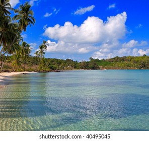 Meerwasser unter einer Palme am tropischen Strand, Sommer-Natur und Urlaub