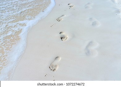 Washed Away Footprints Images Stock Photos Vectors Shutterstock