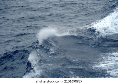 Sea wave on the Pacific Ocean. There is splashed water on the crest of the wave. On the crest of the wave there are water drops. Copy space is available. Suitable as background, abstract and texture.