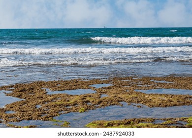 Sea waves crashing on a rocky beach with calm, clear water in the foreground. Seaweed covers the rocks and a distant sailboat adds to the picturesque view. Coastal scene against rocky shores - Powered by Shutterstock