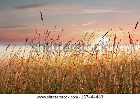 Similar – Foto Bild Die angenehme Stimmung der Natur